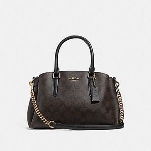 Coach Mini Sage Carryall in Signature Canvas
